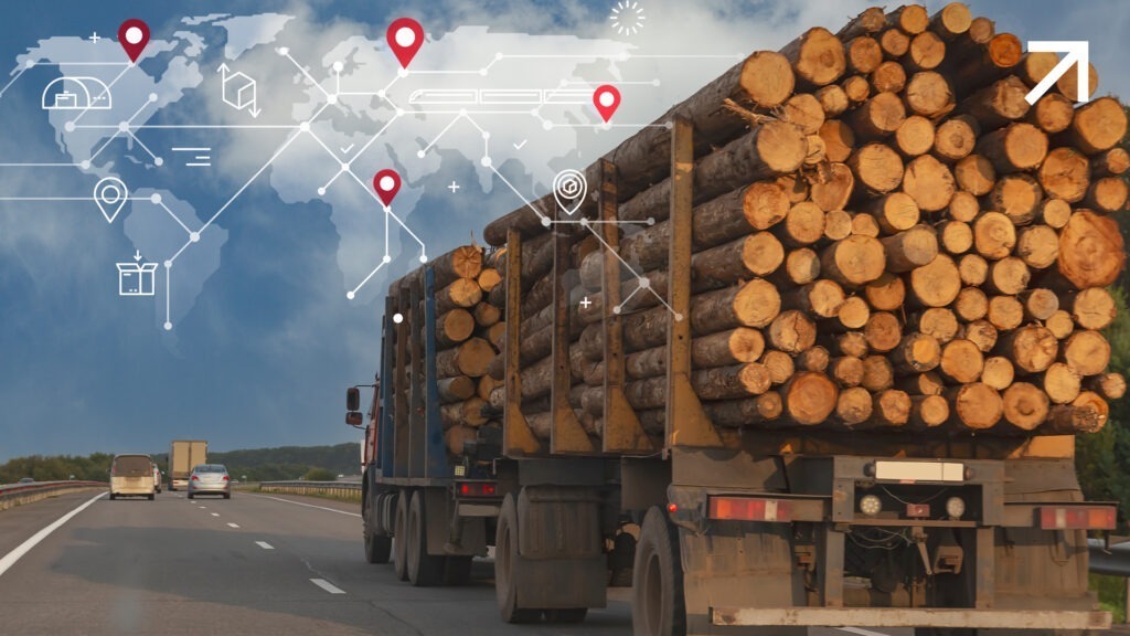 Supply Chain Optimization