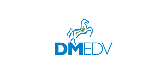 DM EDV
